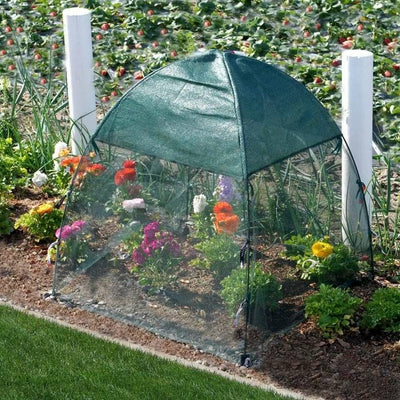 SERRE ANTI-INSECTE POUR CARRÉ POTAGER (1)