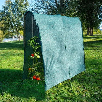 SERRE A TOMATES FILET PROTECTION SOLAIRE