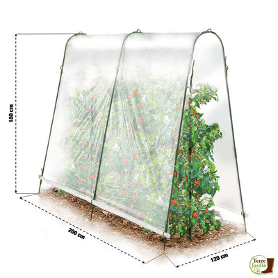 SERRE À TOMATES (1)