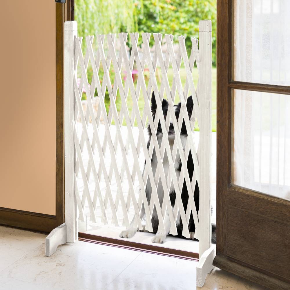 BARRIÈRE EXTENSIBLE BLANCHE PLASTIQUE (3)