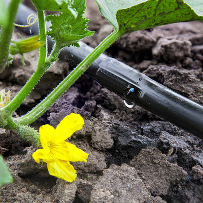 TUYAU D'IRRIGATION EN ROULEAU 300 M (1)