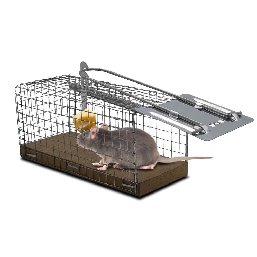 NASSE À SOURIS