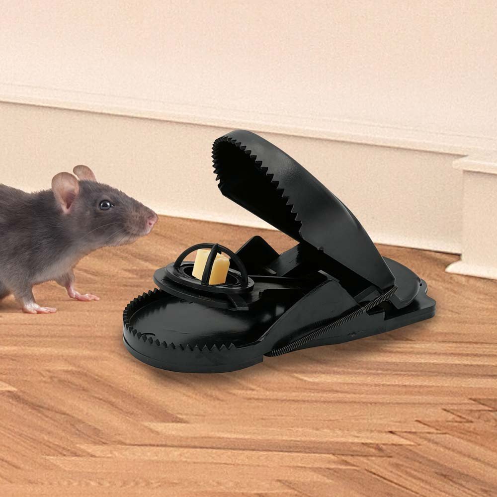 TAPETTES À RATS X4 (7)