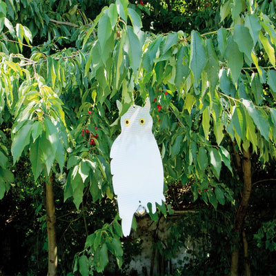 HIBOUX HOLOGRAPHIQUES X2 (1)