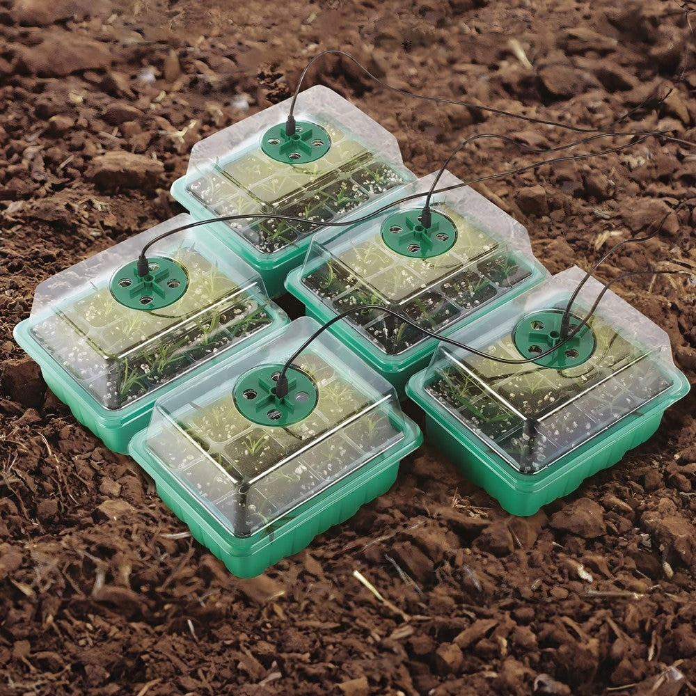 KIT DE GERMINATION AVEC LED DE CROISSANCE (3)