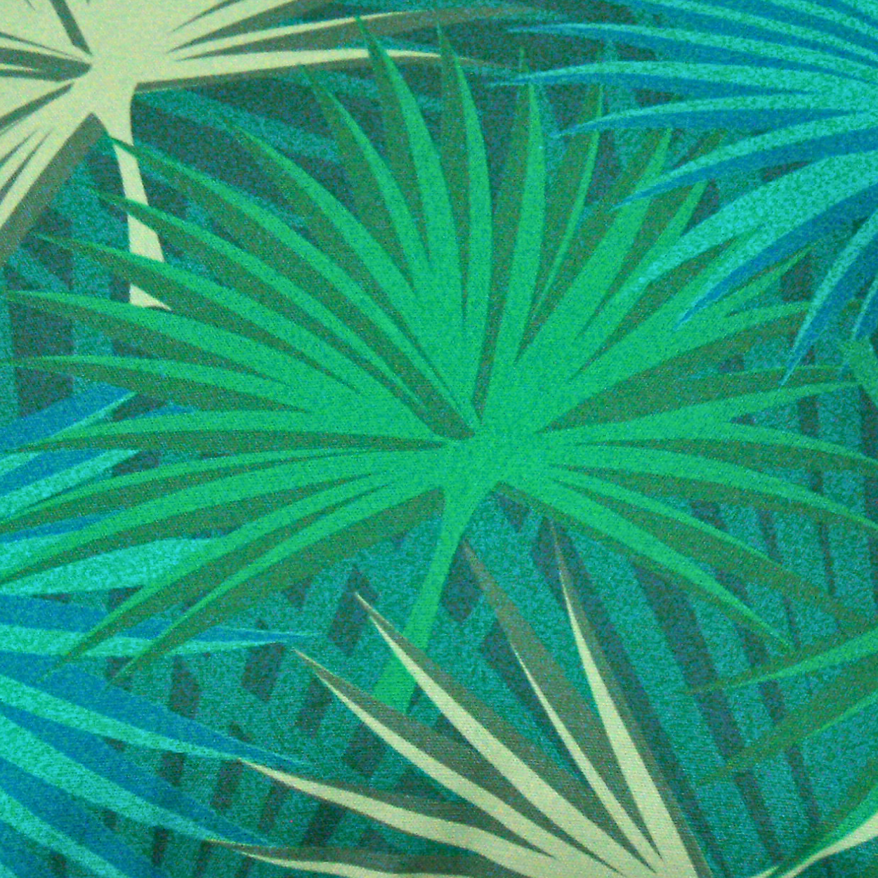 COUSSIN DECO 40X40CM EXOTIC (1)