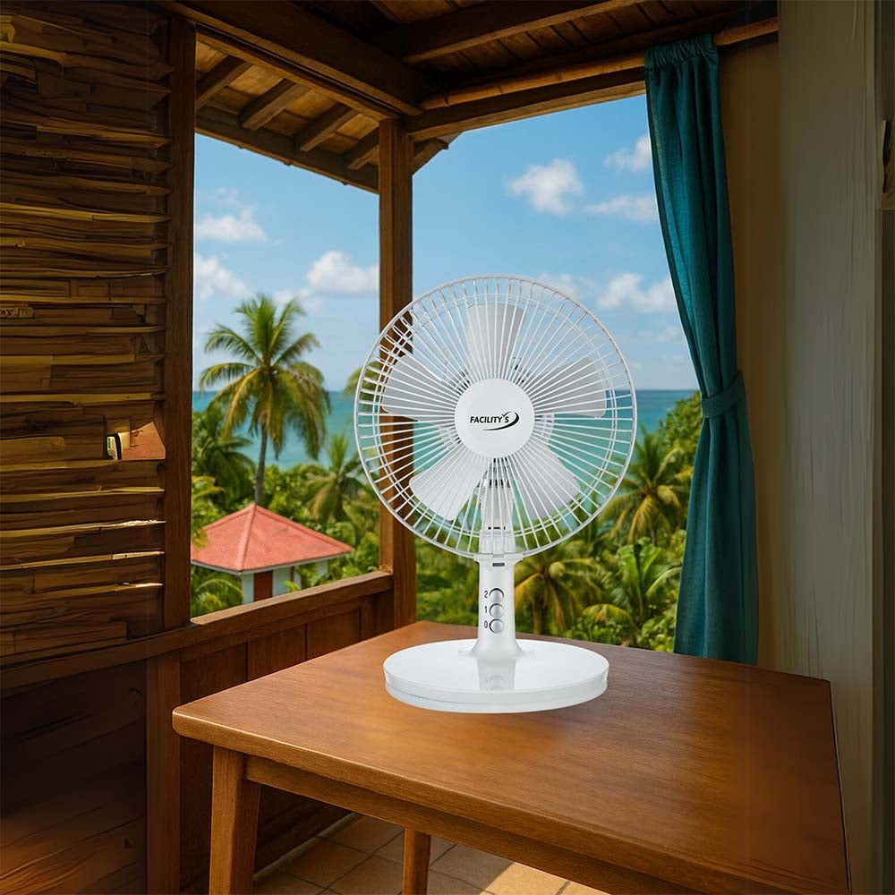 VENTILATEUR 2EN1 SOLAIRE ET ELECTRIQUE DIAM 27CM (5)