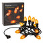 GUIRLANDE ELECTRIQUE LED 10 AMPOULES FLAMME (3)