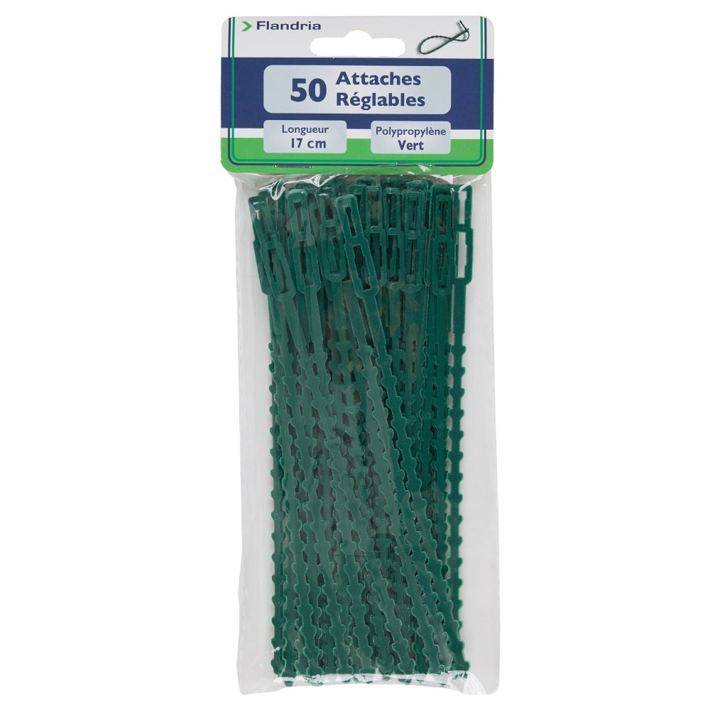 LIENS REGLABLE DE JARDINAGE PP 17CM VERT  LOT DE 50