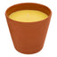 BOUGIE PARFUMEE CITRONNELLE 200 G