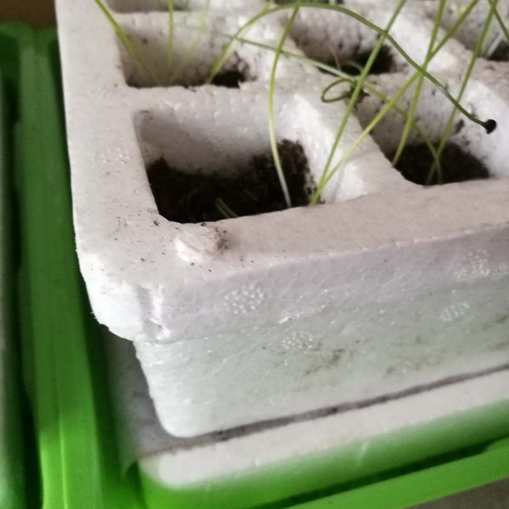 KIT DE GERMINATION 40 GODETS (7)