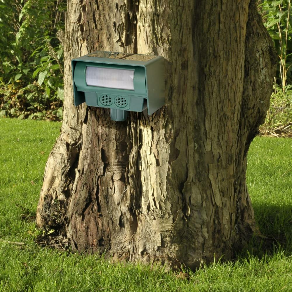 BORNE ANTI-NUISIBLE SOLAIRE (4)