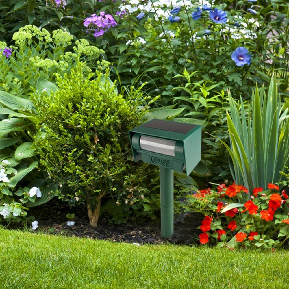 BORNE ANTI-NUISIBLE SOLAIRE (5)