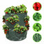 PLANTEUSES À FRAISES X2 (5)