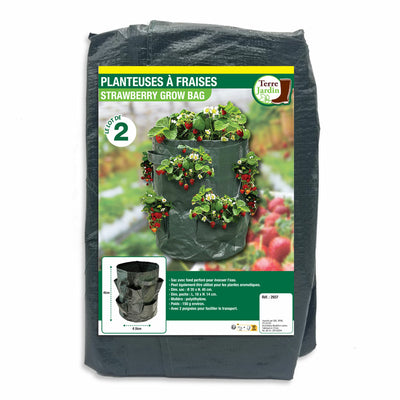 PLANTEUSES À FRAISES X2 (1)