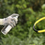 SPRAY D'ÉTANCHÉITÉ (6)