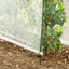SERRE À TOMATES (3)