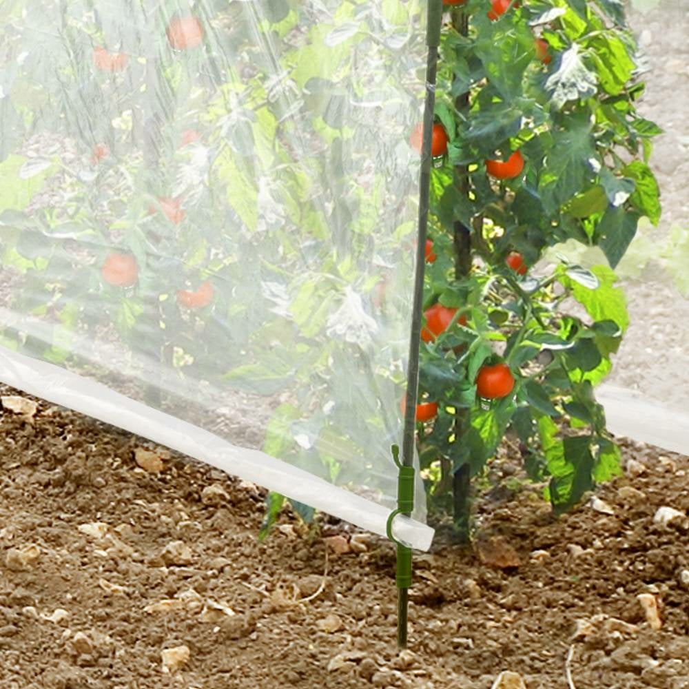 SERRE À TOMATES (3)