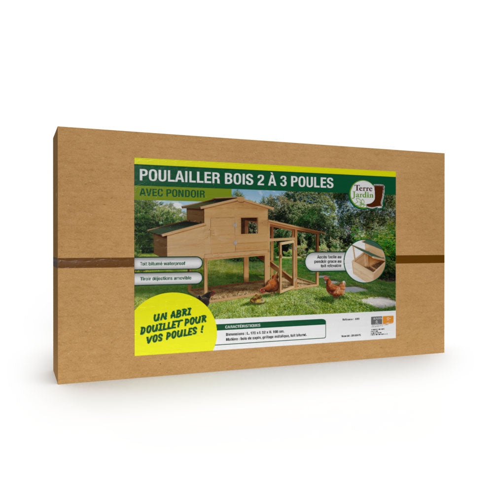 POULAILLER 2-3 POULES (4)