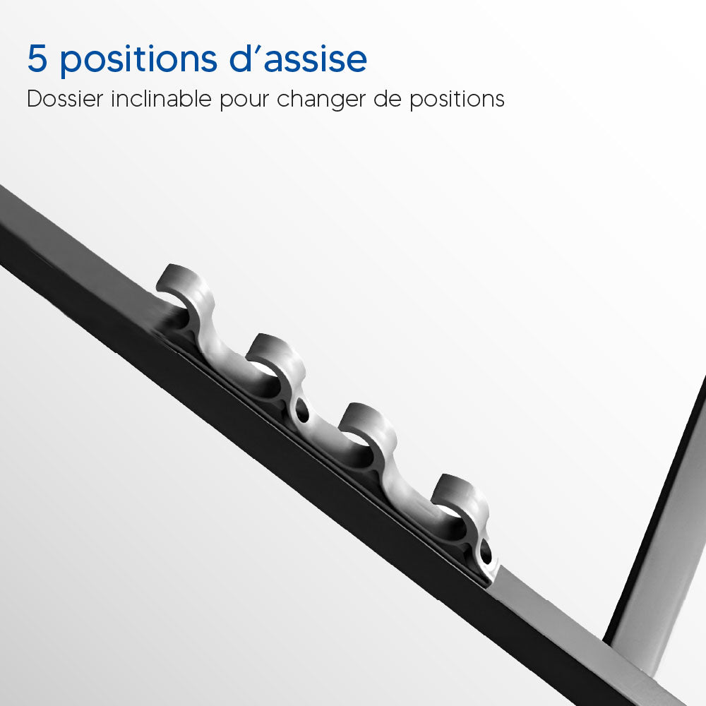 CHILIENNE ANTHRACITE (3)