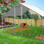VOLIÈRE D'ÉLEVAGE 6M² (6)