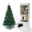 SAPIN DE NOËL TRADITION (12)