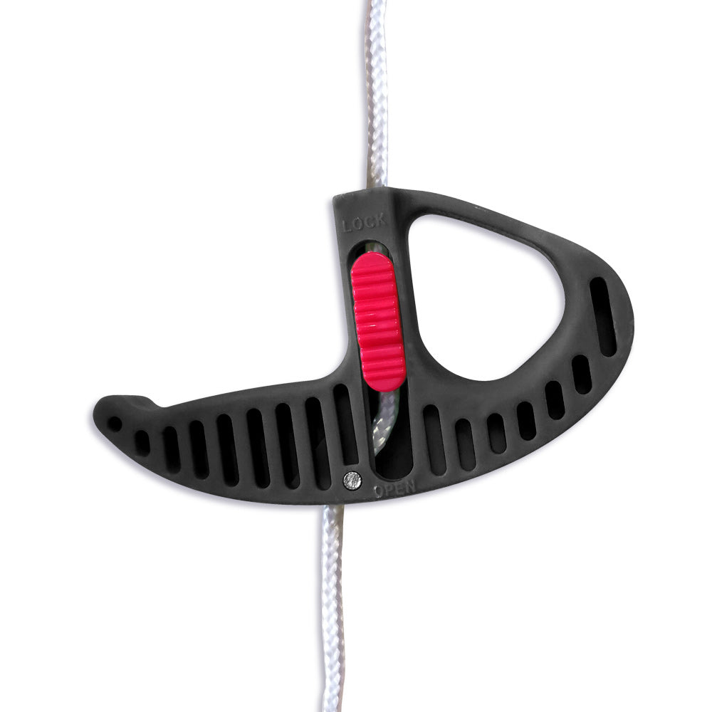 ÉCHENILLOR À CRÉMAILLÈRE (3)