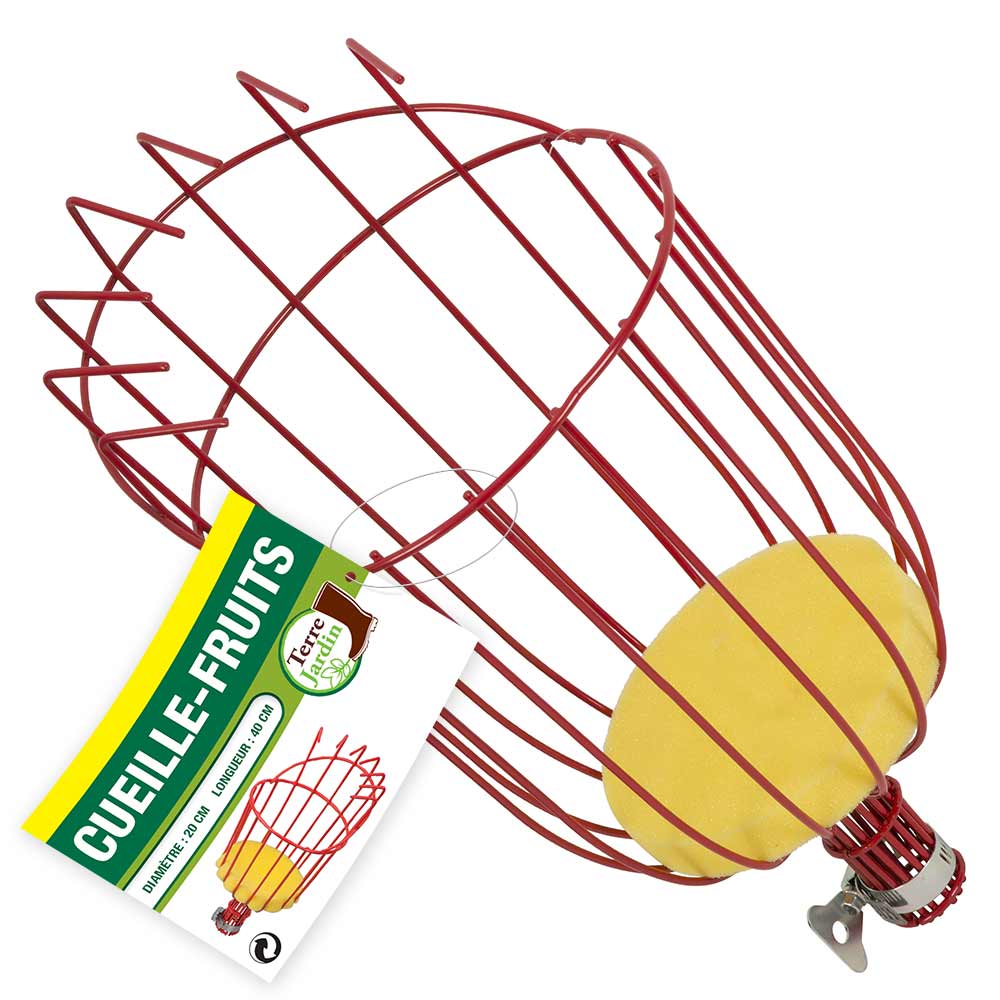 CUEILLE FRUITS XL 20 CM (1)
