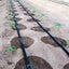 TUYAU D'IRRIGATION EN ROULEAU 300 M (3)