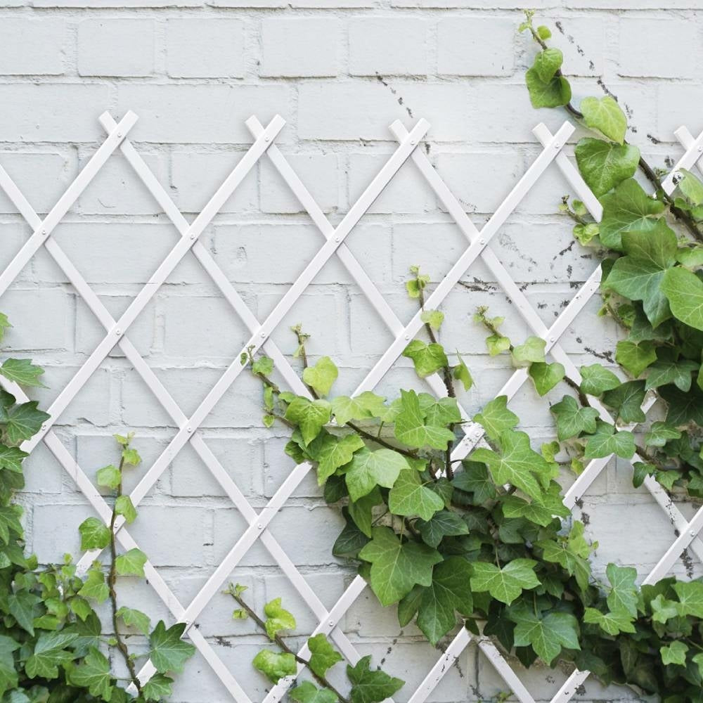 TREILLIS PLASTIQUE 1X2M (4)