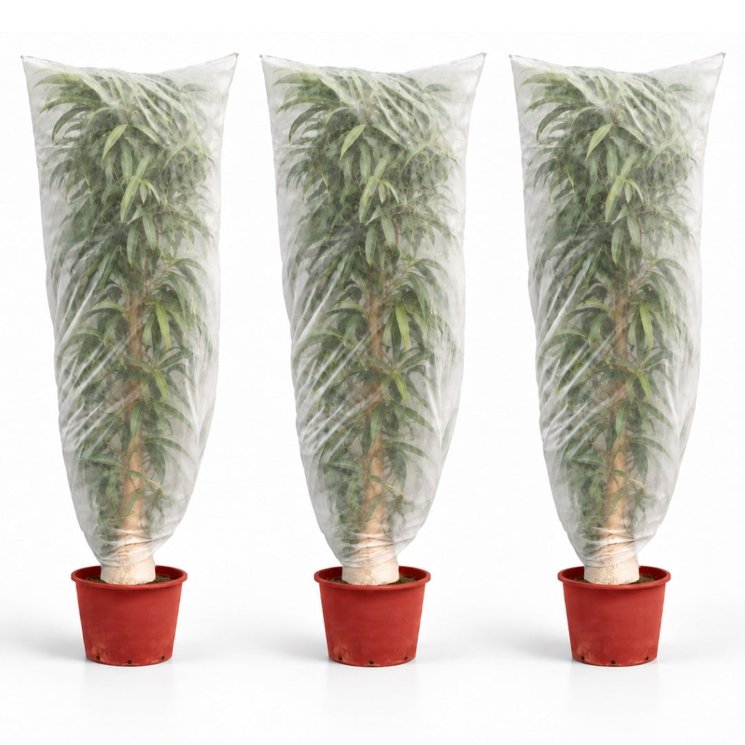 SACS HIVERNAGE 2X2,5M X3 (1)