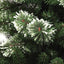 SAPIN GRACIOUS IMPERIAL (1)