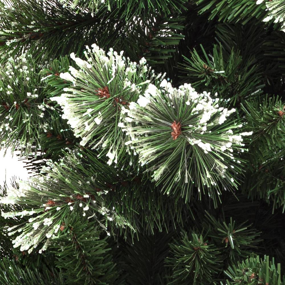 SAPIN GRACIOUS IMPERIAL (1)
