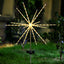 FEU D'ARTIFICE SOLAIRE À PLANTER (3)