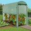 SERRE À TOMATES RELEVABLE + 2 FENÊTRES (8)