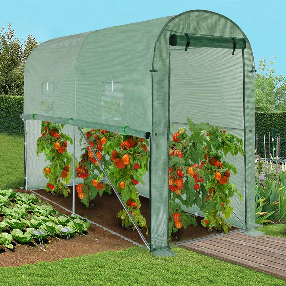 SERRE À TOMATES RELEVABLE + 2 FENÊTRES (8)