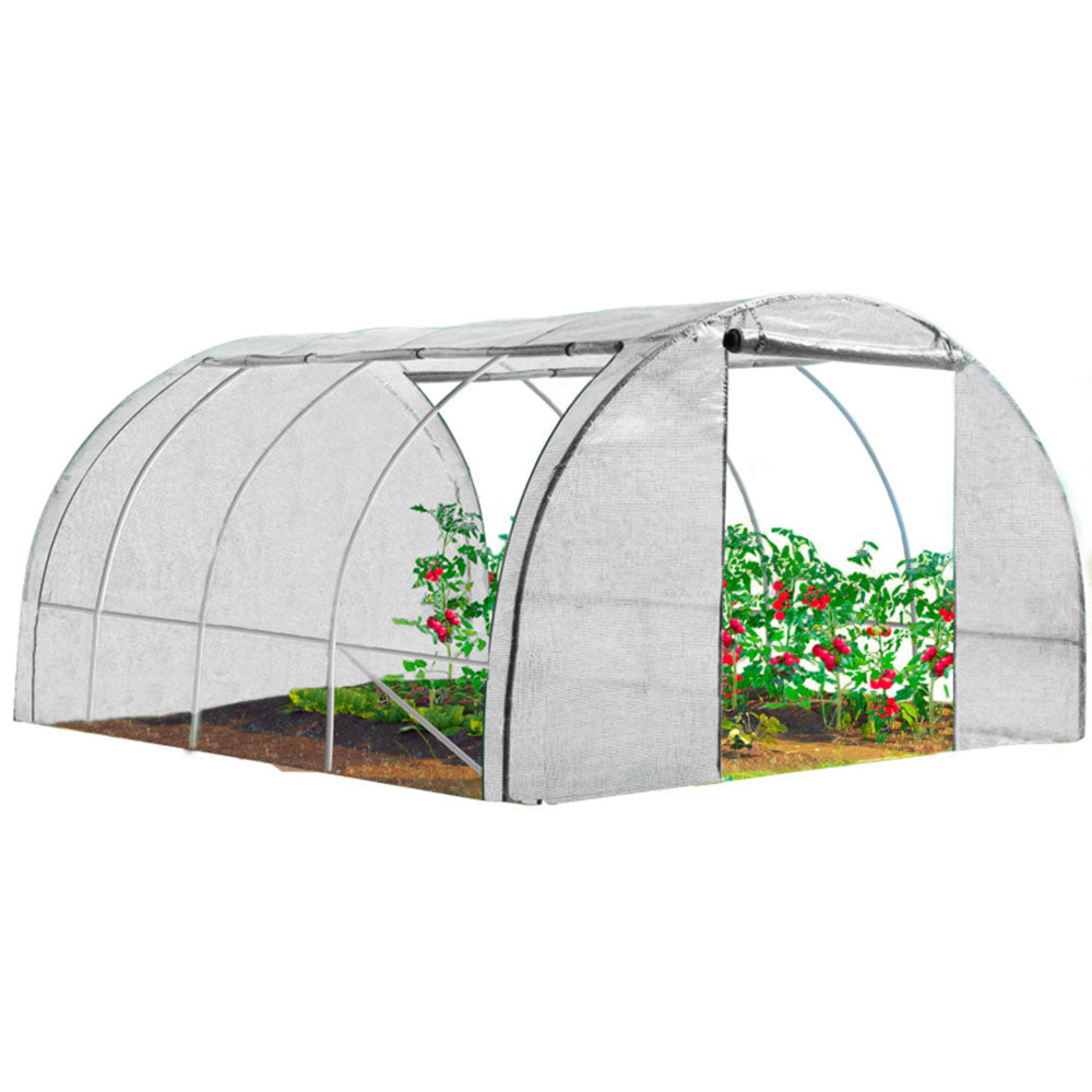 SERRE DE JARDIN 3 X 4 M - 4 FENÊTRES