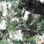 SAPIN ENNEIGÉ VERT (3)