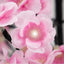 BRANCHE FLEUR DE CERISIER SOLAIRE 100 LED (2)