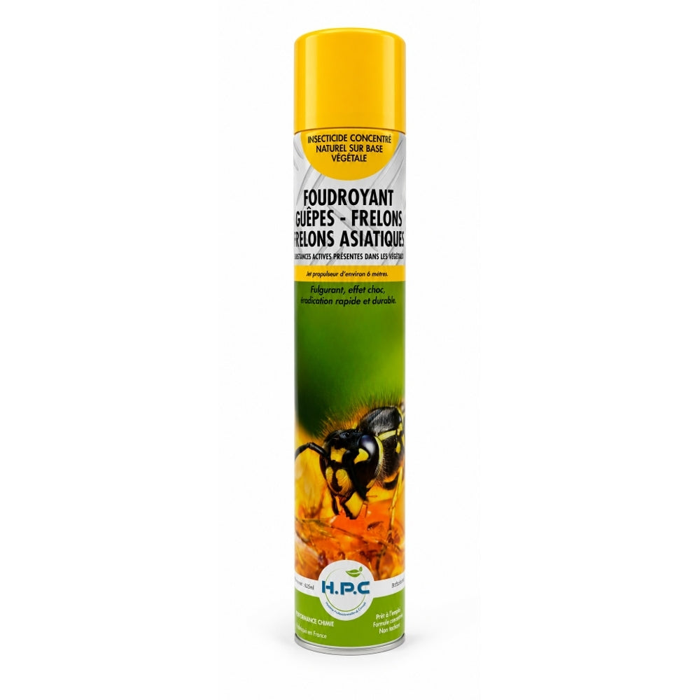 AÉROSOL FOUDROYANT GUÊPES ET FRELONS