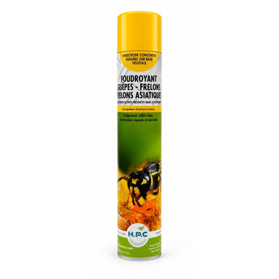 9495_AEROSOL_FOUDROYANT_GUEPES_ET_FRELONS_PACKSHOT_1_WEB.jpg