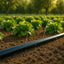 TUYAU D'IRRIGATION 100 M - Ø 16 MM (5)