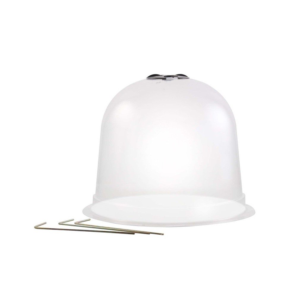Cloches à salades plastique - Lot de 72 (1)