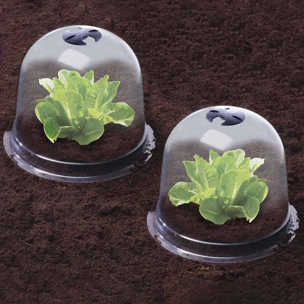 CLOCHES À SALADES X6 (4)