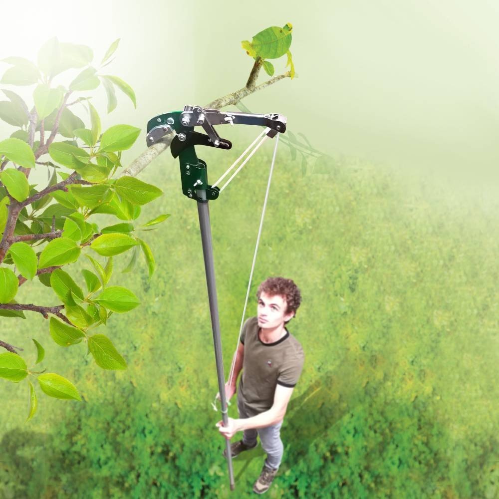 ÉCHENILLOR À CRÉMAILLÈRE (4)