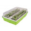 KIT DE GERMINATION 40 GODETS