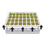 KIT DE GERMINATION 40 GODETS (4)