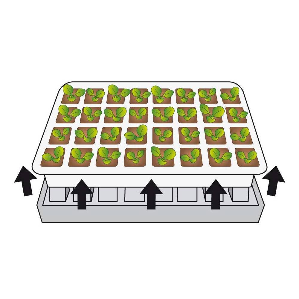 KIT DE GERMINATION 40 GODETS (4)