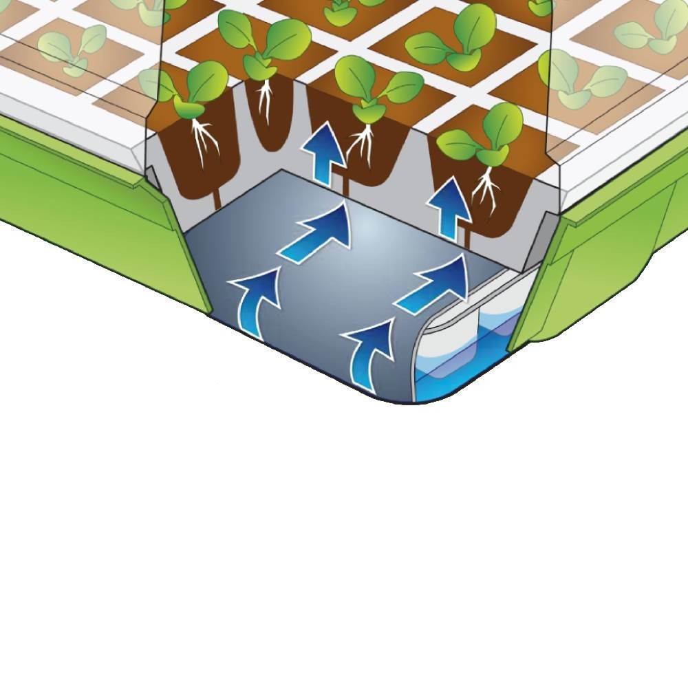KIT DE GERMINATION 40 GODETS (5)