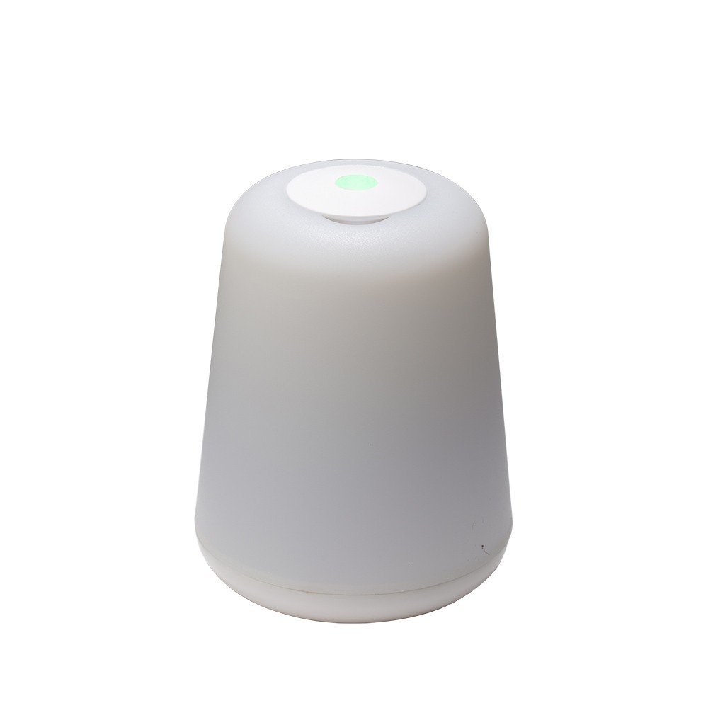 LAMPE D'AMBIANCE 2 EN 1